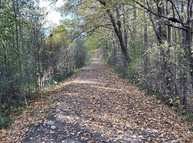 롯지 Lipek 우스트론